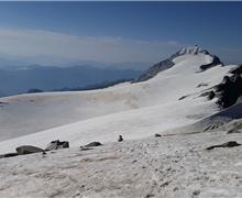 20150712_091140